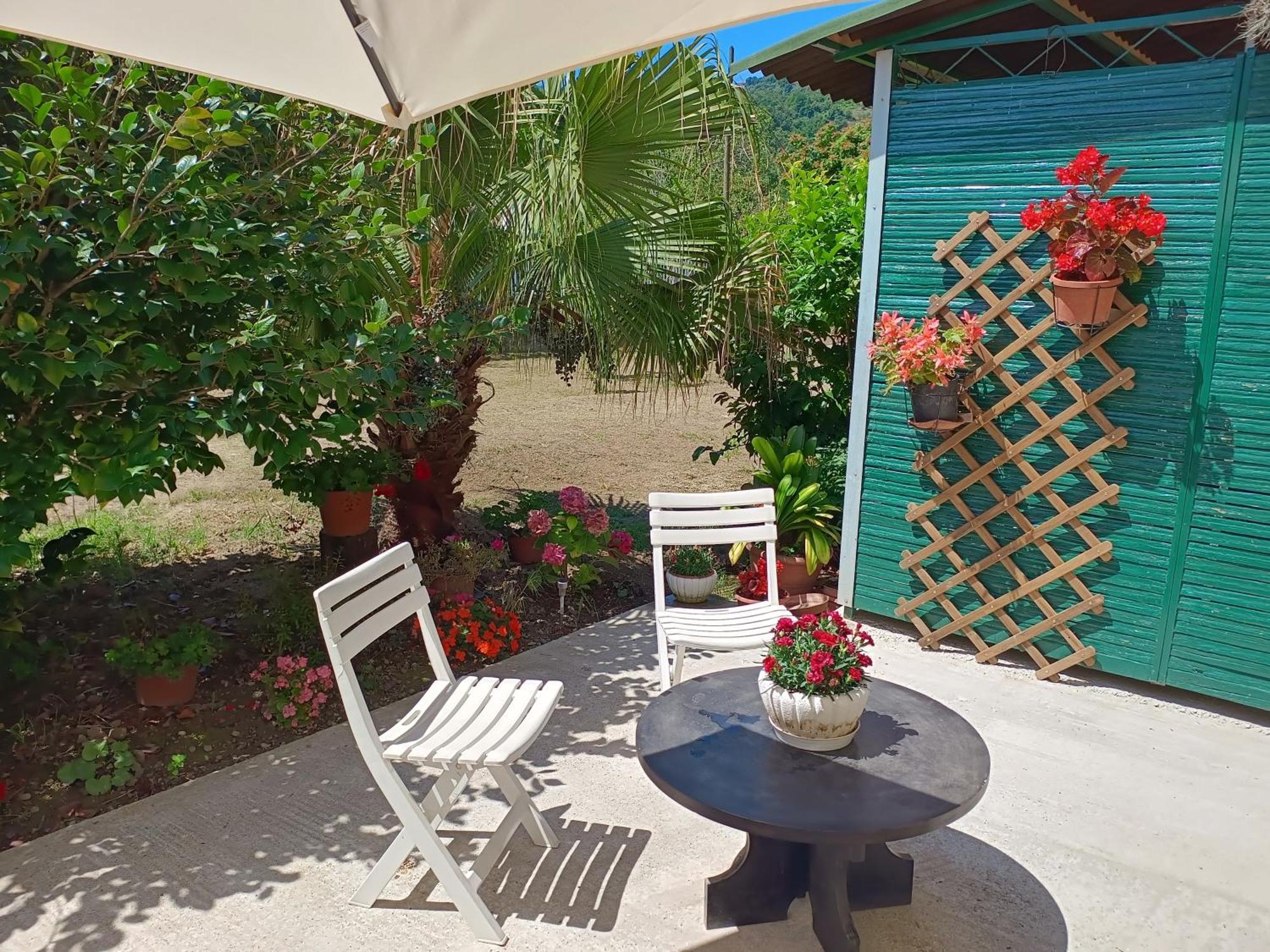 Sunny House Villa Carasco Dış mekan fotoğraf